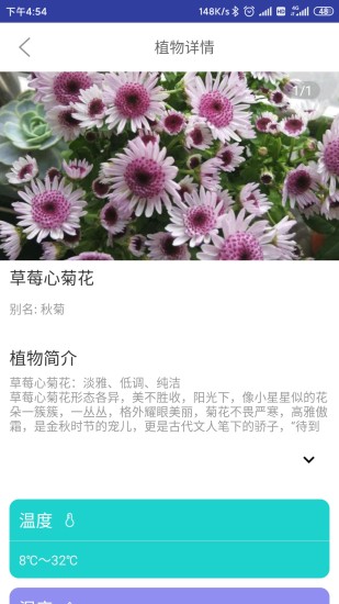 森林甜心安卓直装版图3