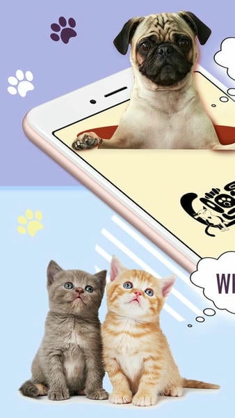 猫狗语翻译器通用版图1