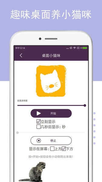 猫狗语翻译器通用版图4