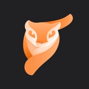 Pixaloop专业手机正版