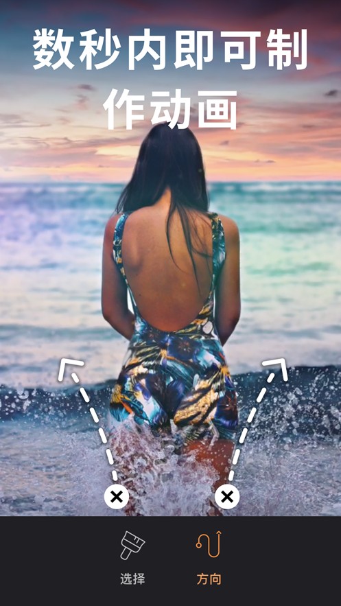 Pixaloop专业手机正版图4
