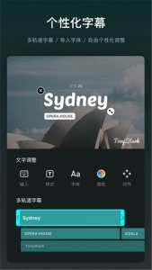 VN视频剪辑软件官方最新版图2