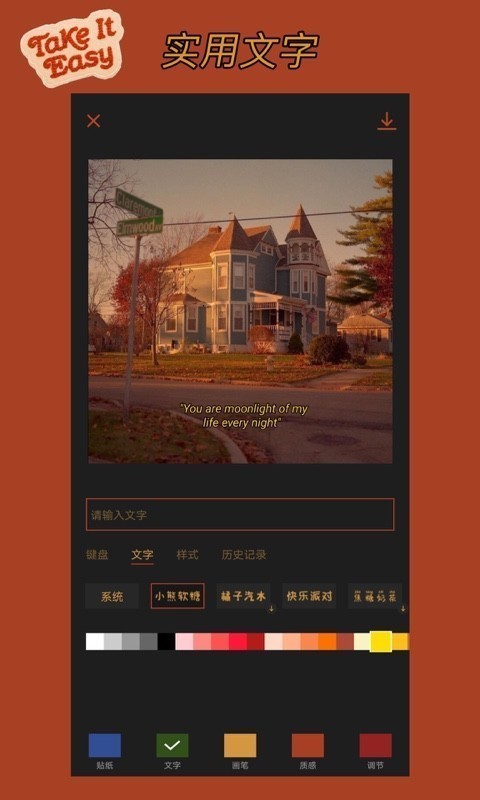CocoCam通用版图2