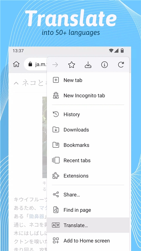 kiwi浏览器脚本插件版图3