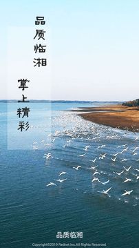 品质临湘免费版图4