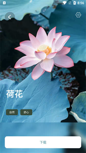 睡眠音乐安卓免费版图5