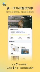 哈啰街猫安卓直装版图1
