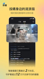 哈啰街猫安卓直装版图4