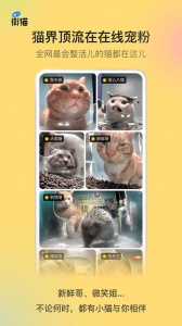哈啰街猫安卓直装版图3