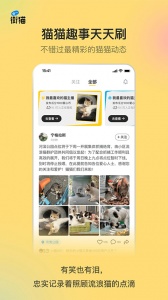 哈啰街猫安卓直装版图5