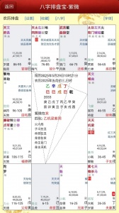 八字排盘宝手机正版图5
