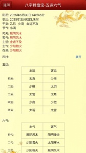 八字排盘宝手机正版图2