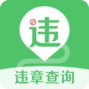 违章查询安卓免费版