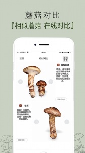 菌窝子手机最新版图4
