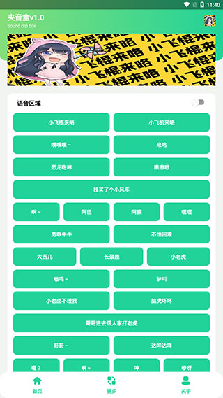夹音盒安卓直装版图2