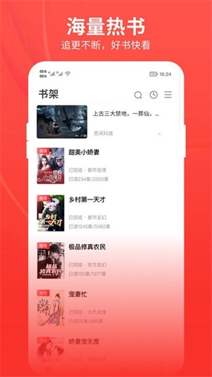 皮皮小说原版图2