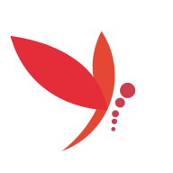 蜻蜓主播正版