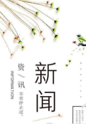 YoYo资讯安卓免费版图2