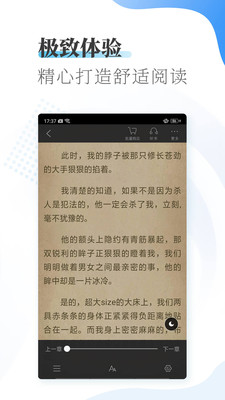 爱浪小说安卓免费版图4
