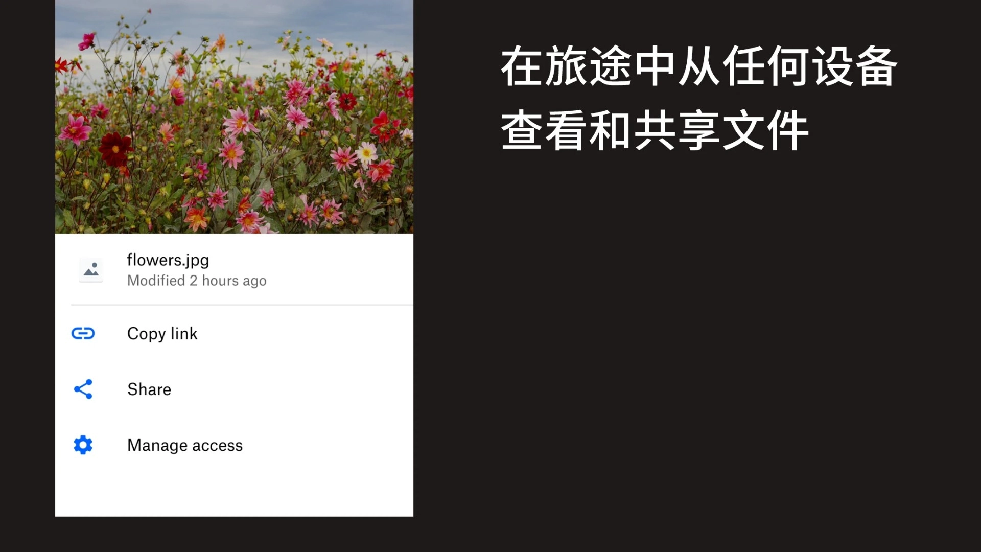 Dropbox免费原版图3