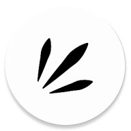 Rays表情包管理工具正版