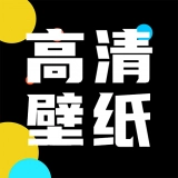 灵猫桌面壁纸手机正版