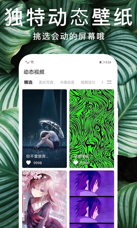 灵猫桌面壁纸手机正版图3