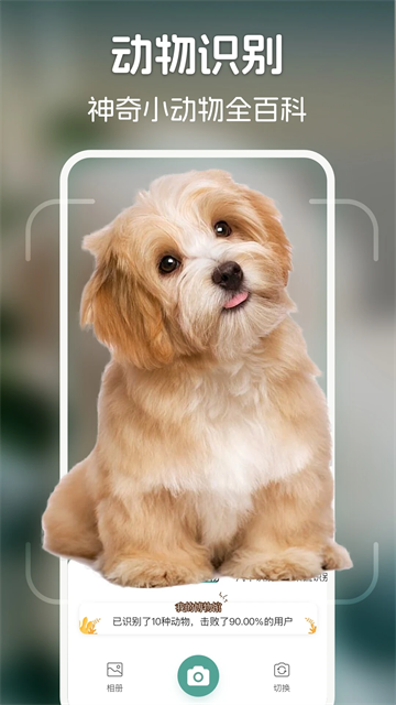 识花君通用版图1