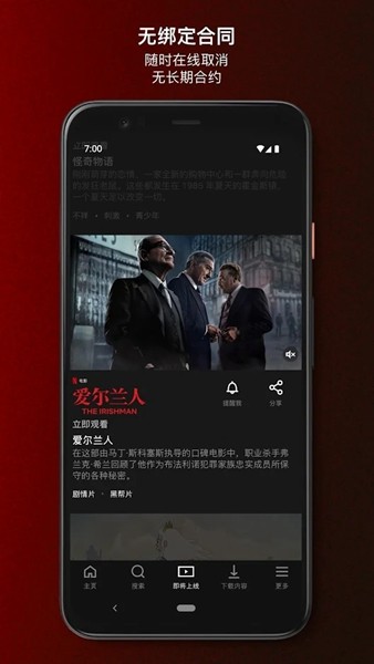 网飞netflix直装版图1