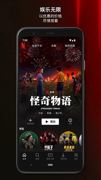 网飞netflix直装版图2