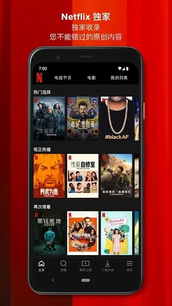 网飞netflix直装版图3
