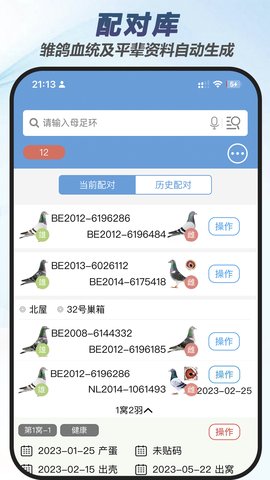 赛鸽云安卓直装版图4