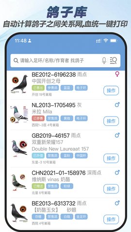 赛鸽云安卓直装版图3