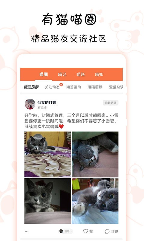 领喵官方最新版图1