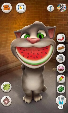 会说话的汤姆猫安卓直装版图3