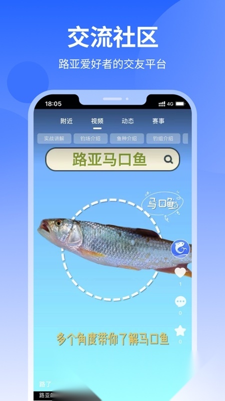路了个鱼本安卓免费版图3