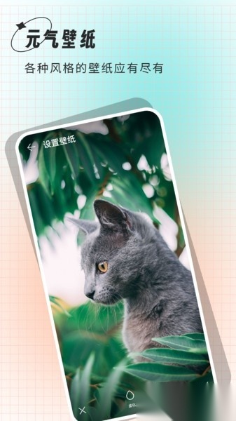 清壁纸安卓免费版图3