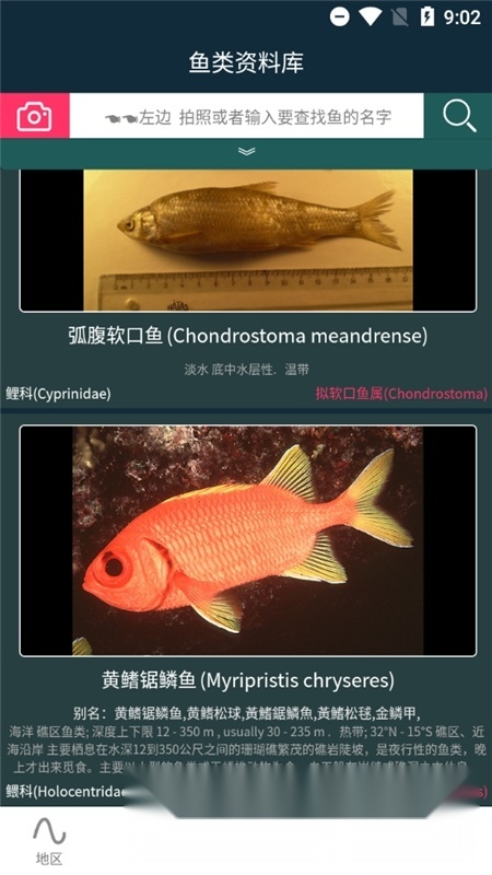 潮汐表精灵免费原版图2