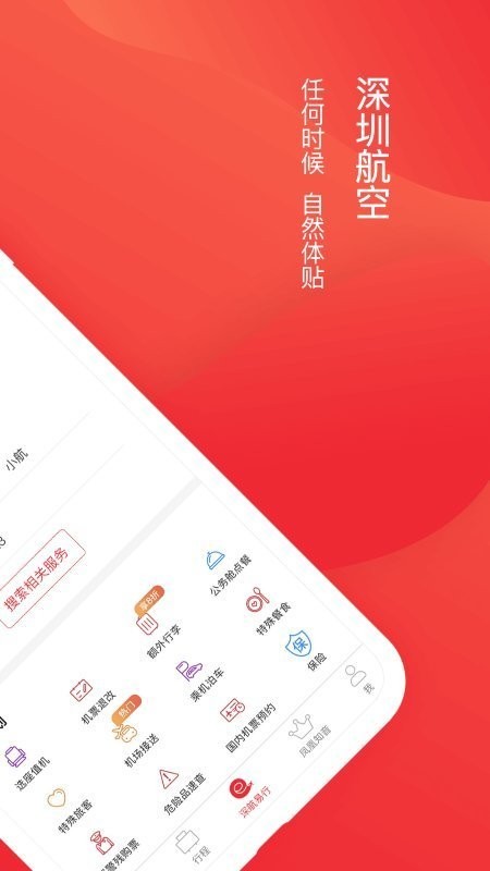 深圳航空正版图3
