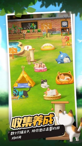 猫语咖啡图3