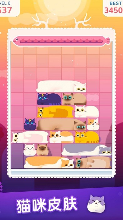 土耳其猫咪消除图2