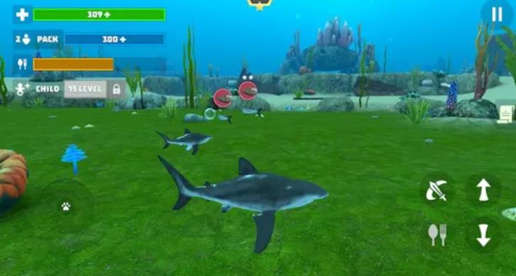 鲨鱼模拟器3D图2