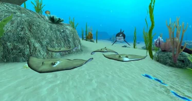 鲨鱼模拟器3D图3
