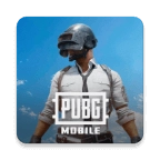 pubgm