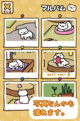 收集猫猫图2