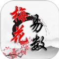 热卜梅花易数无广告版