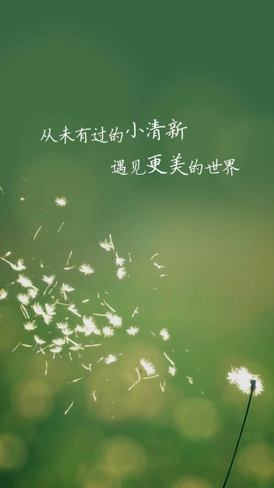 QQ影像最新版图1
