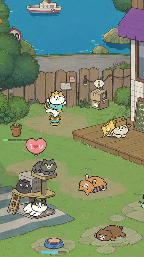 神秘猫咪字典图4
