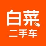 白菜二手车安卓官方版