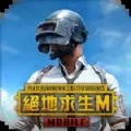 地铁逃生正式服(PUBGMOBILE)官方最新版